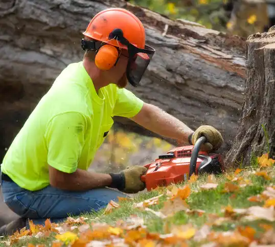 tree services Joliet